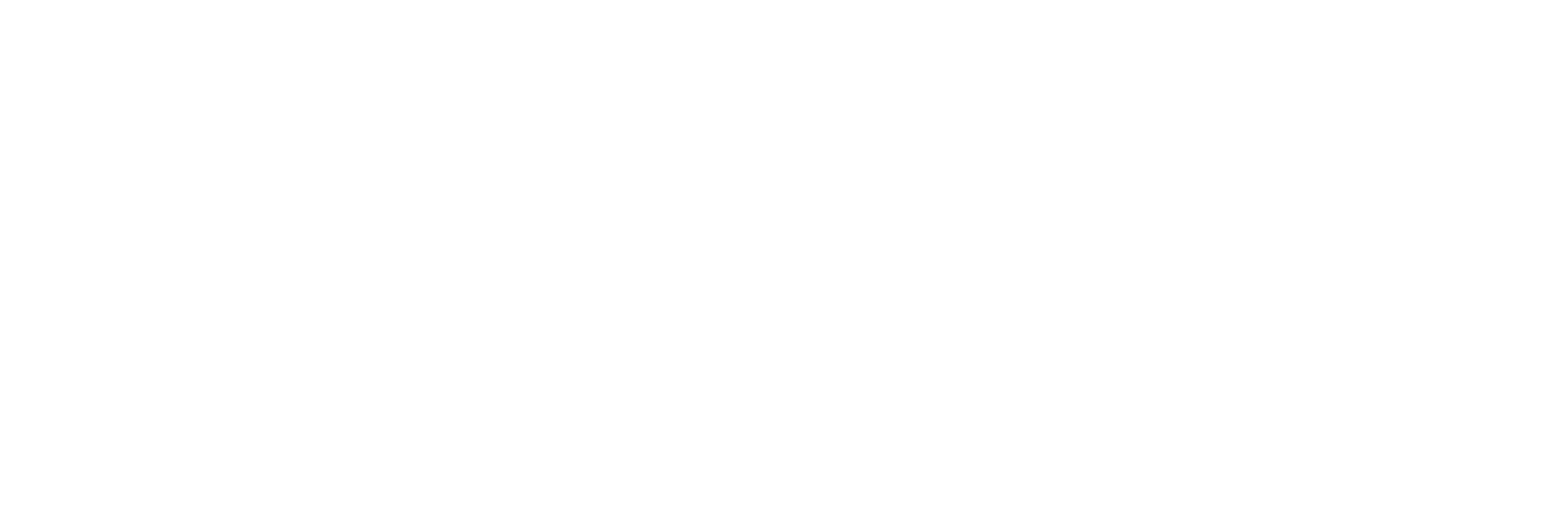Townsman Software